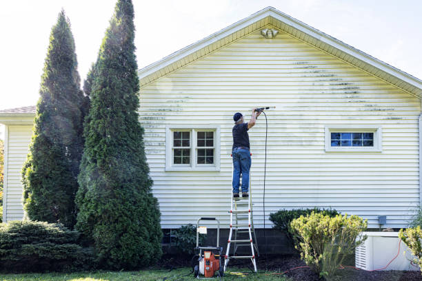 Best Local Pressure Washing Services  in Duvall, WA